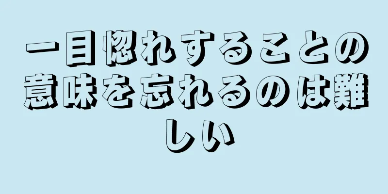 一目惚れすることの意味を忘れるのは難しい