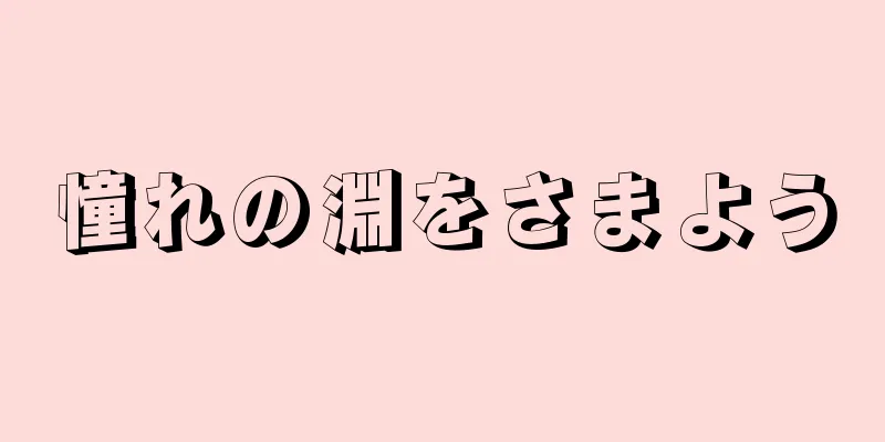 憧れの淵をさまよう