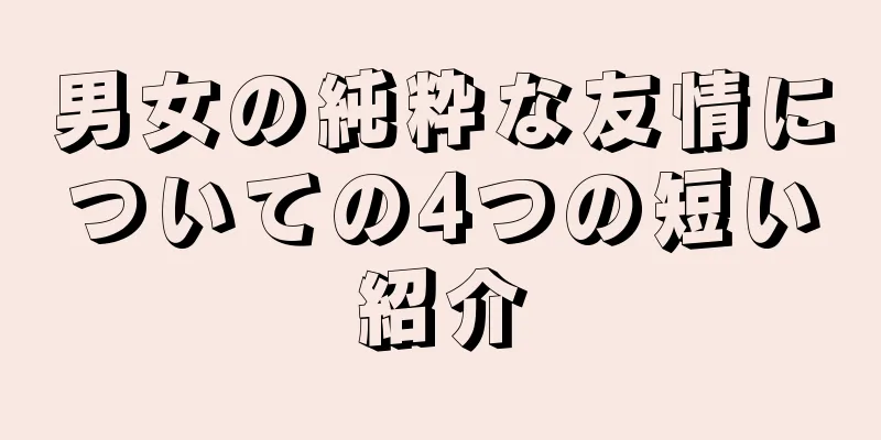 男女の純粋な友情についての4つの短い紹介