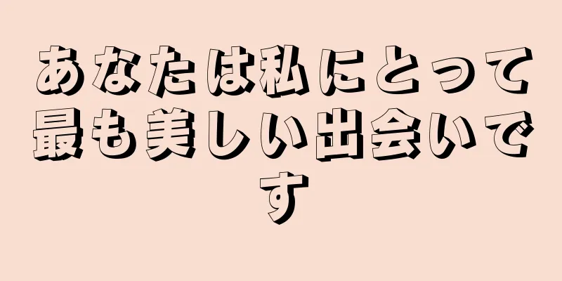 あなたは私にとって最も美しい出会いです