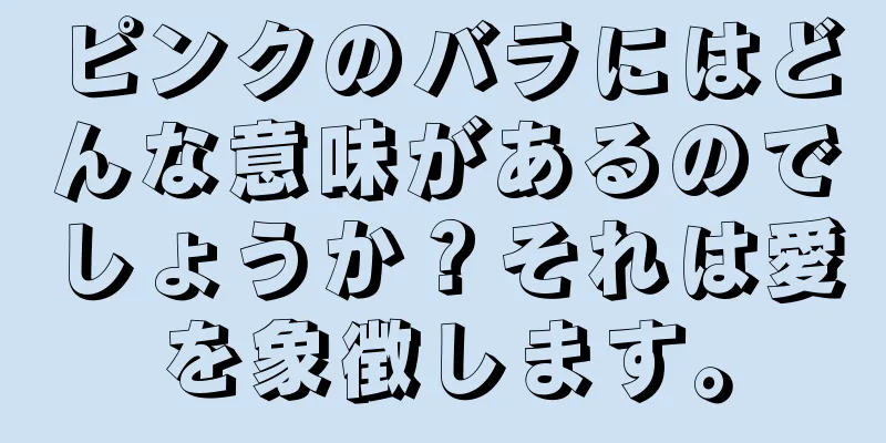 ピンクのバラにはどんな意味があるのでしょうか？それは愛を象徴します。