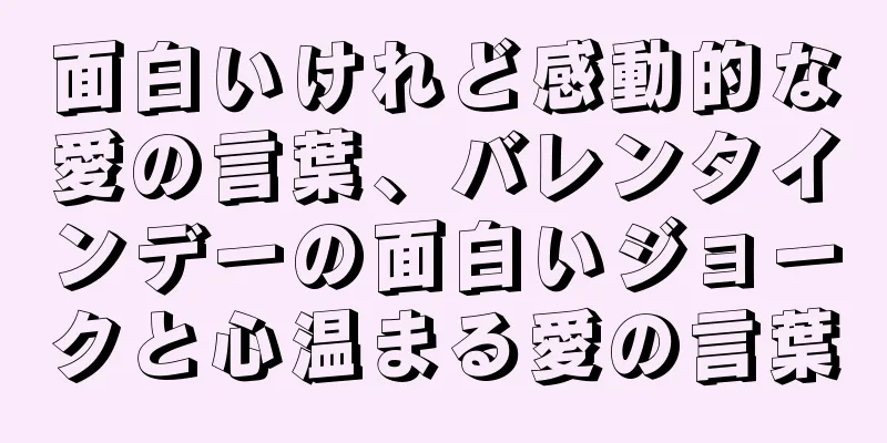 面白いけれど感動的な愛の言葉、バレンタインデーの面白いジョークと心温まる愛の言葉