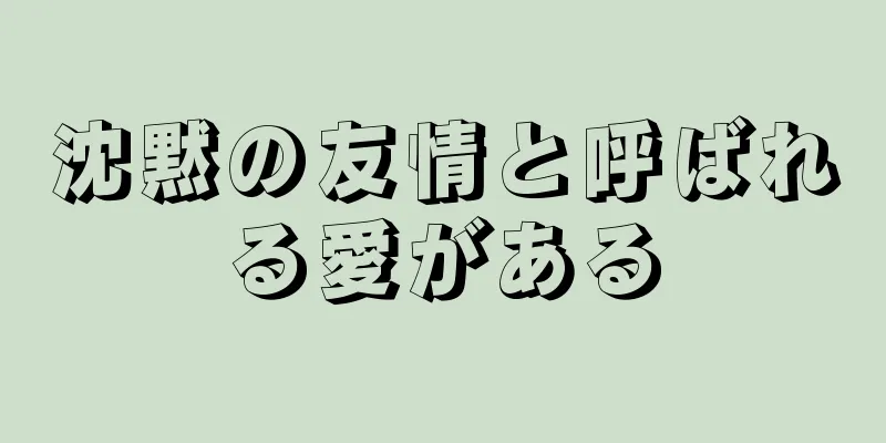 沈黙の友情と呼ばれる愛がある