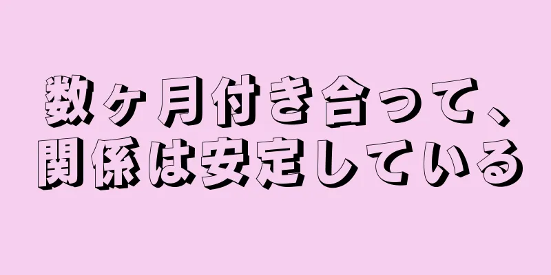 数ヶ月付き合って、関係は安定している