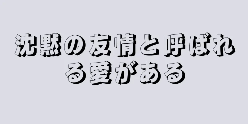 沈黙の友情と呼ばれる愛がある