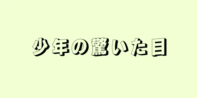 少年の驚いた目