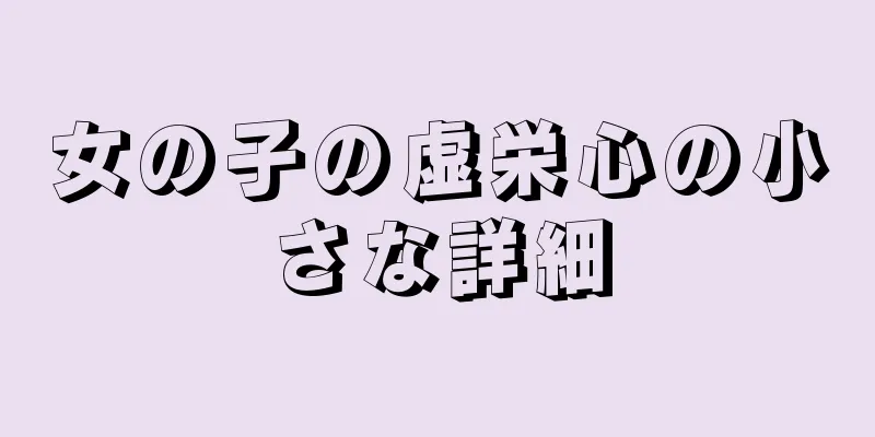 女の子の虚栄心の小さな詳細