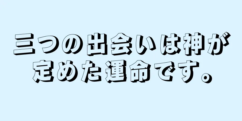 三つの出会いは神が定めた運命です。