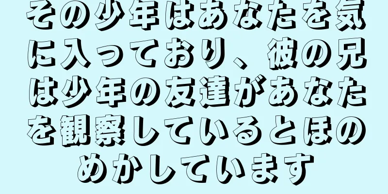 その少年はあなたを気に入っており、彼の兄は少年の友達があなたを観察しているとほのめかしています