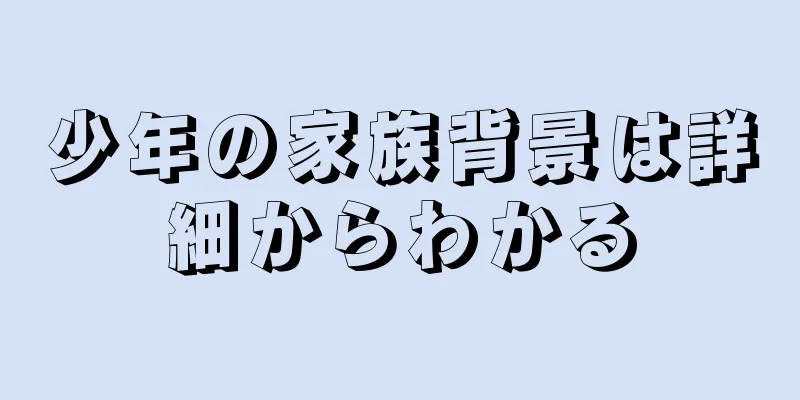 少年の家族背景は詳細からわかる