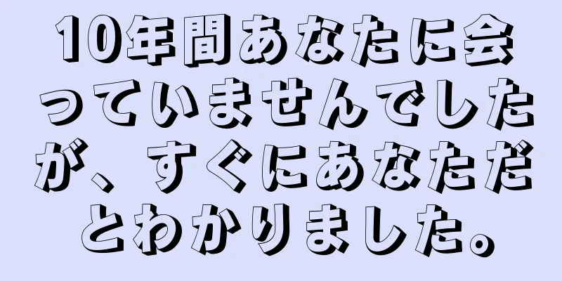 10年間あなたに会っていませんでしたが、すぐにあなただとわかりました。
