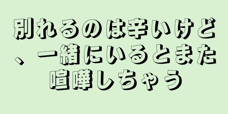別れるのは辛いけど、一緒にいるとまた喧嘩しちゃう
