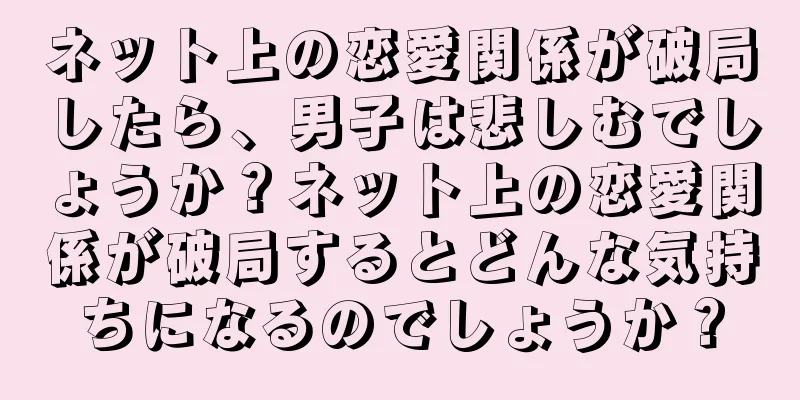 ネット上の恋愛関係が破局したら、男子は悲しむでしょうか？ネット上の恋愛関係が破局するとどんな気持ちになるのでしょうか？