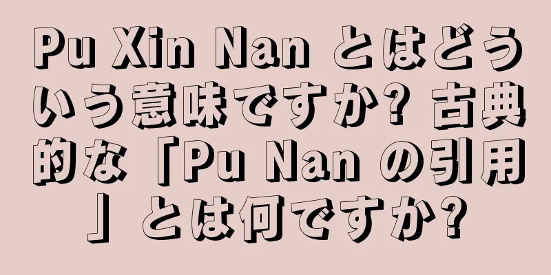 Pu Xin Nan とはどういう意味ですか? 古典的な「Pu Nan の引用」とは何ですか?