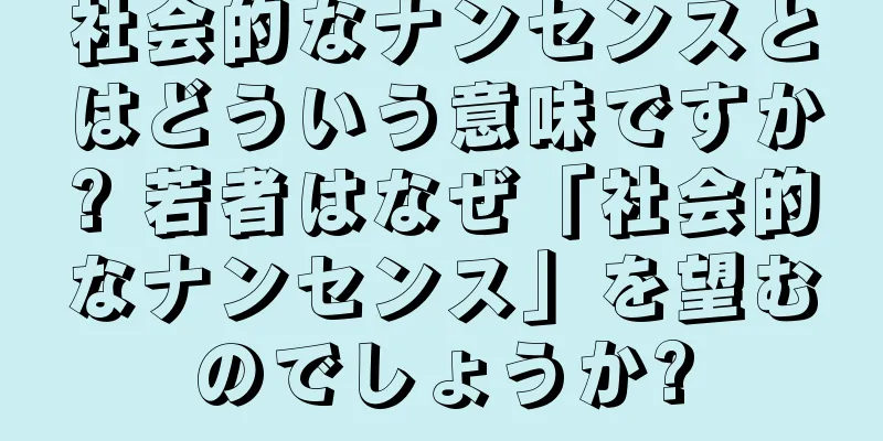 社会的なナンセンスとはどういう意味ですか? 若者はなぜ「社会的なナンセンス」を望むのでしょうか?