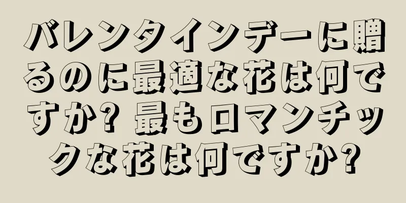 バレンタインデーに贈るのに最適な花は何ですか? 最もロマンチックな花は何ですか?