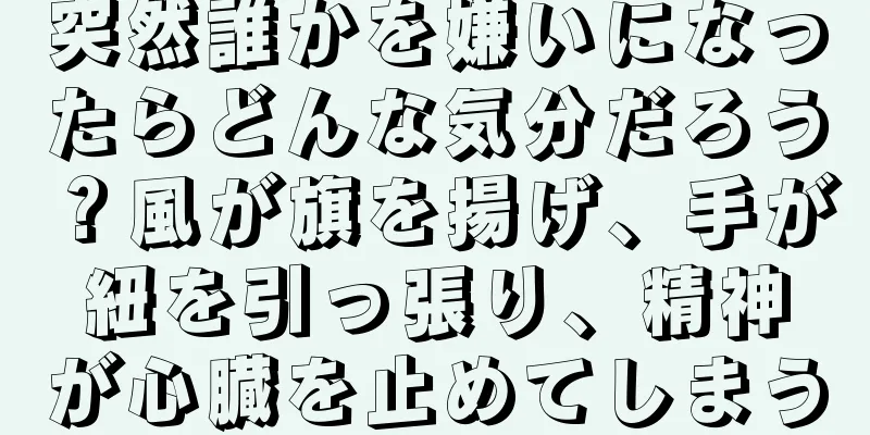 突然誰かを嫌いになったらどんな気分だろう？風が旗を揚げ、手が紐を引っ張り、精神が心臓を止めてしまう