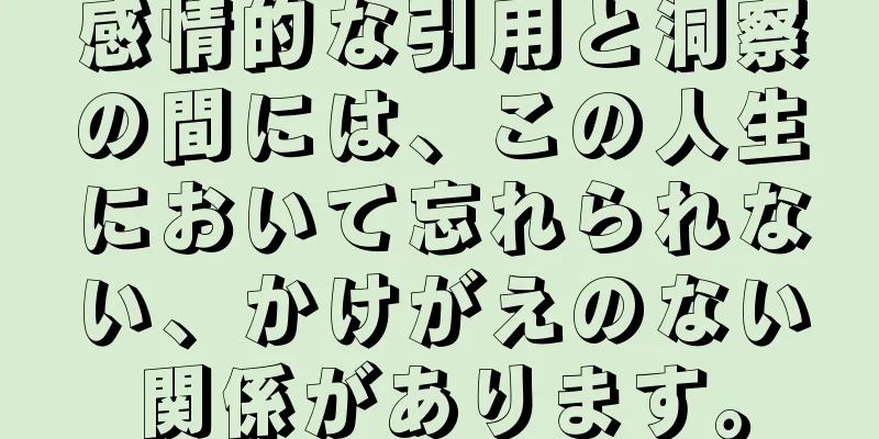 感情的な引用と洞察の間には、この人生において忘れられない、かけがえのない関係があります。
