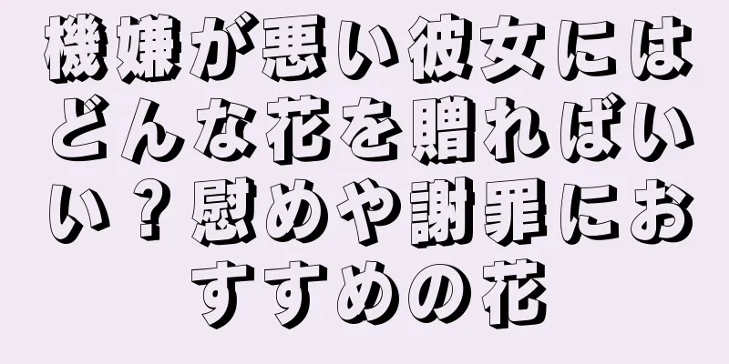 機嫌が悪い彼女にはどんな花を贈ればいい？慰めや謝罪におすすめの花