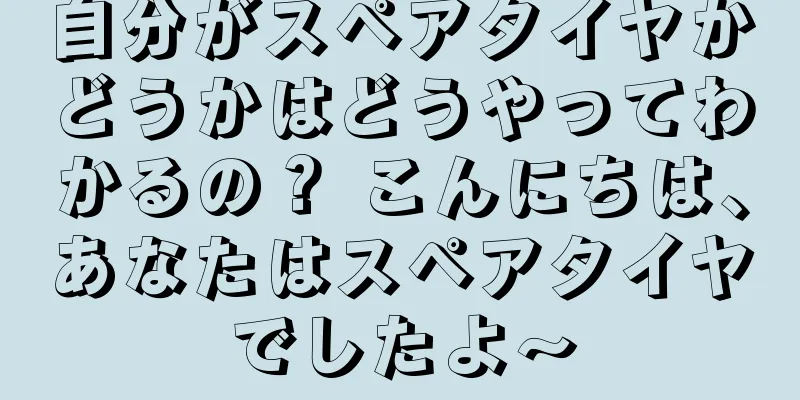 自分がスペアタイヤかどうかはどうやってわかるの？ こんにちは、あなたはスペアタイヤでしたよ〜