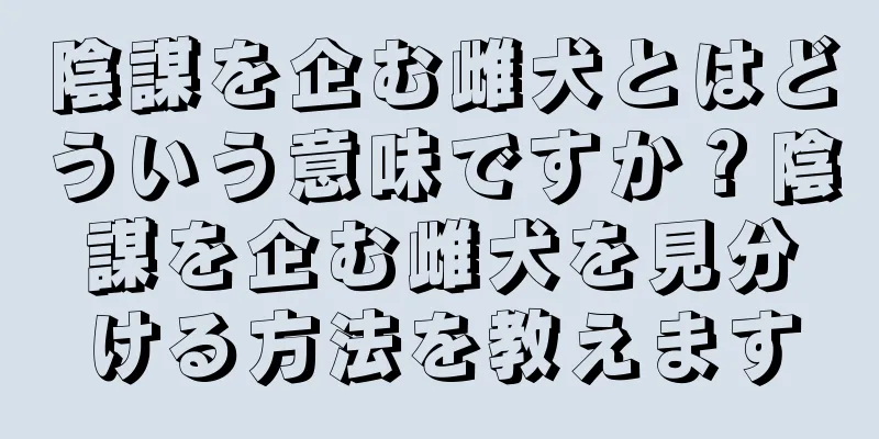 陰謀を企む雌犬とはどういう意味ですか？陰謀を企む雌犬を見分ける方法を教えます