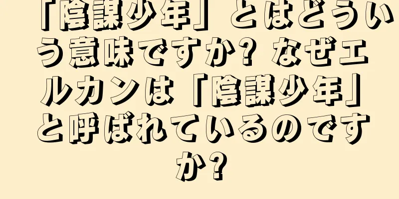 「陰謀少年」とはどういう意味ですか? なぜエルカンは「陰謀少年」と呼ばれているのですか?