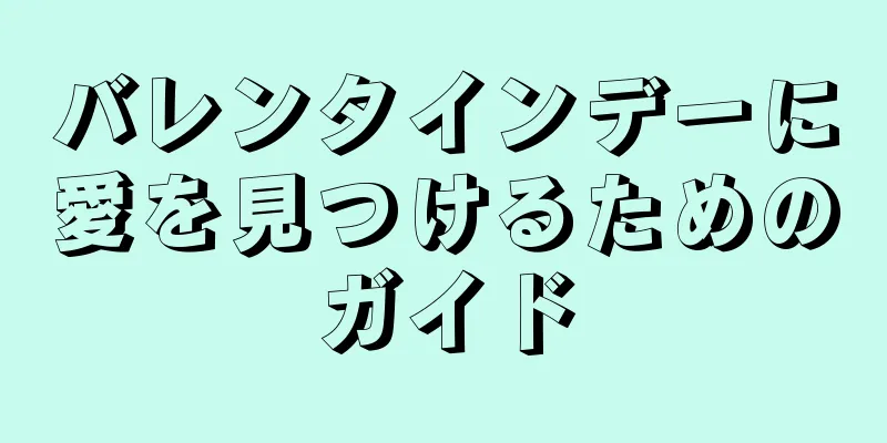 バレンタインデーに愛を見つけるためのガイド
