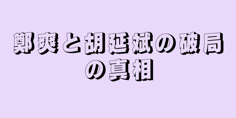 鄭爽と胡延斌の破局の真相