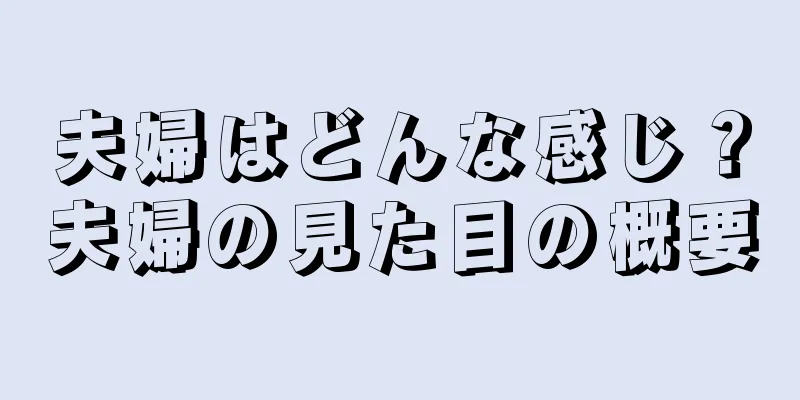 夫婦はどんな感じ？夫婦の見た目の概要
