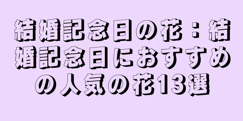 結婚記念日の花：結婚記念日におすすめの人気の花13選