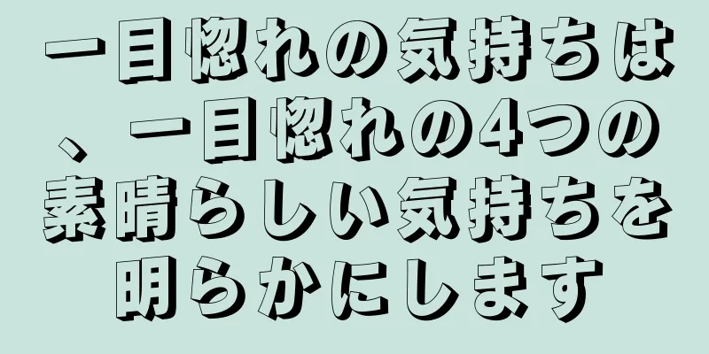 一目惚れの気持ちは、一目惚れの4つの素晴らしい気持ちを明らかにします