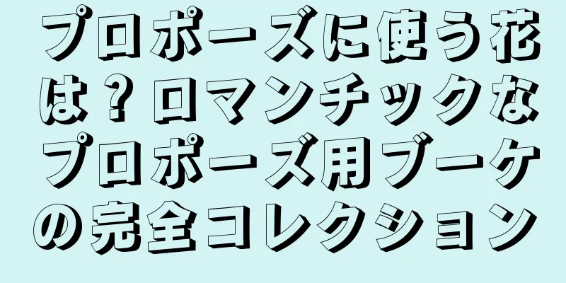 プロポーズに使う花は？ロマンチックなプロポーズ用ブーケの完全コレクション