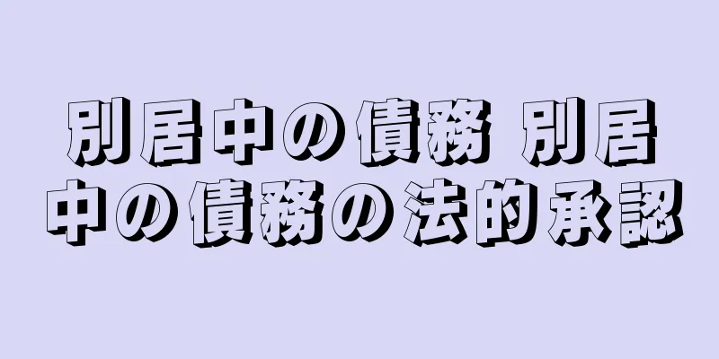 別居中の債務 別居中の債務の法的承認