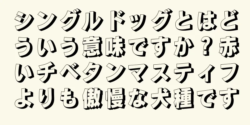 シングルドッグとはどういう意味ですか？赤いチベタンマスティフよりも傲慢な犬種です