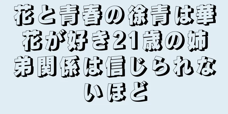 花と青春の徐青は華花が好き21歳の姉弟関係は信じられないほど