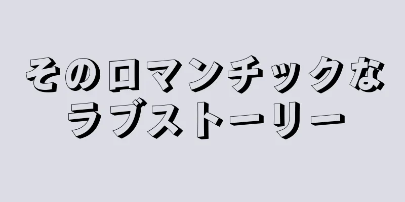 そのロマンチックなラブストーリー