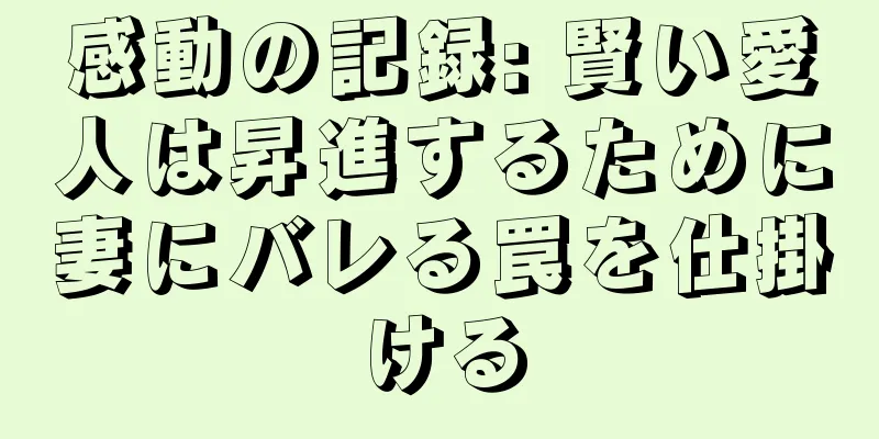 感動の記録: 賢い愛人は昇進するために妻にバレる罠を仕掛ける