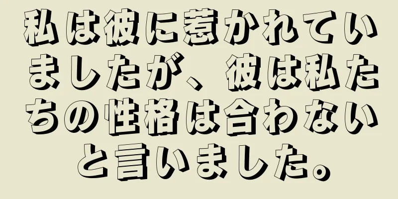 私は彼に惹かれていましたが、彼は私たちの性格は合わないと言いました。